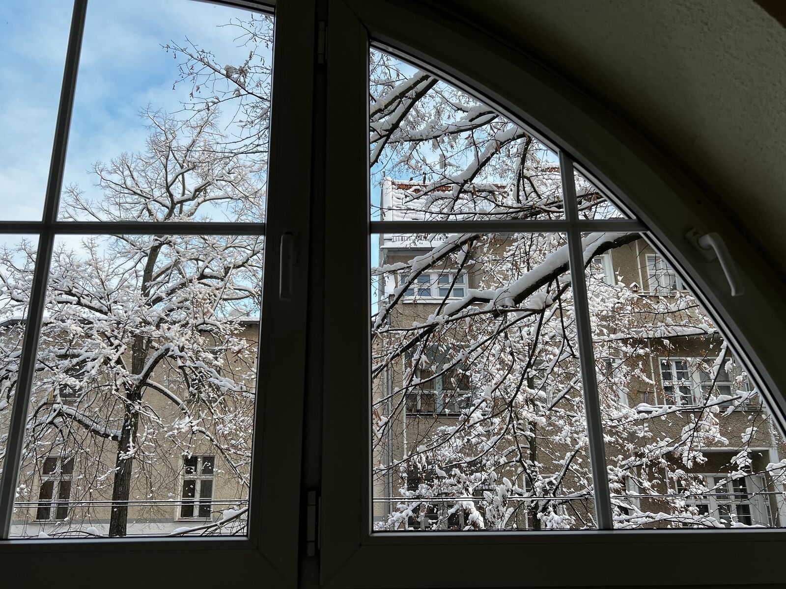 Blick aus dem Praxisfenster im Winter – verschneite Bäume